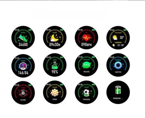 SMARTWATCH UNISEX G. Rossi SW010-5 silver/black (sg005f)