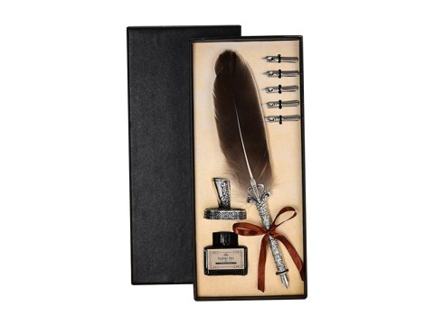 Zestaw piśmienniczy - Pióro z wymiennymi stalówkami i atramentem (wzór do wyboru)