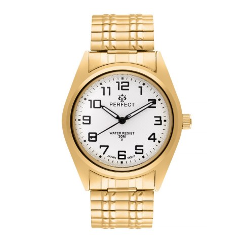 PERFECT X018-12 (zp396c)