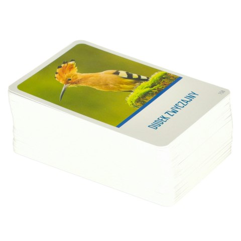 Gra edukacyjna Na tropie gra dla ciekawskich 8+ MULTIGRA Alexander